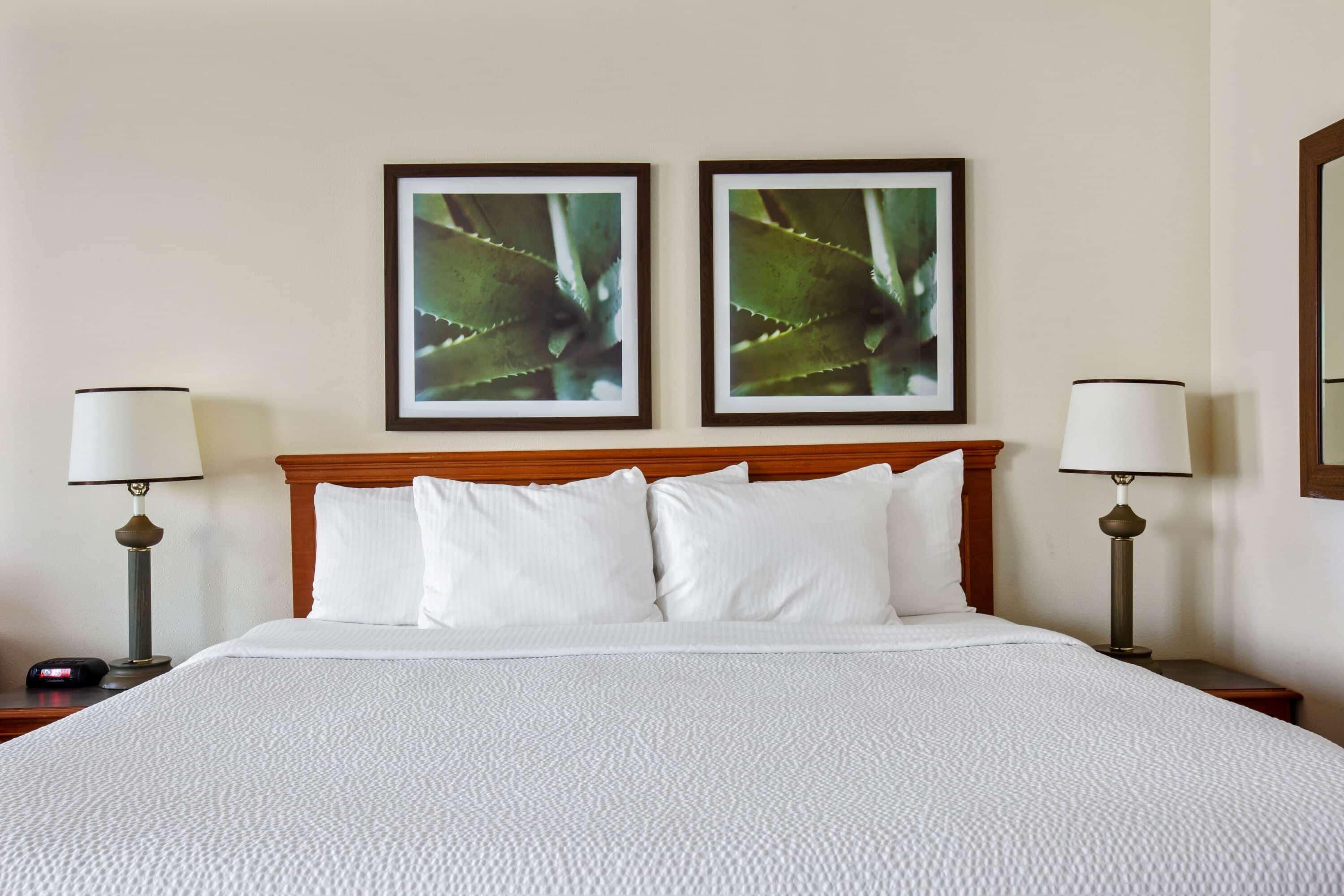 La Quinta Inn & Suites By Wyndham Sawgrass Sunrise Exterior photo
